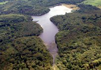 Scenic view across Powdermill Reservoir