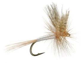 The Mayfly