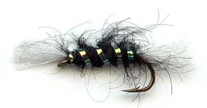Shipman's Buzzer