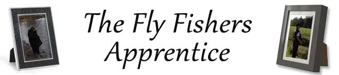 Apprentice Title