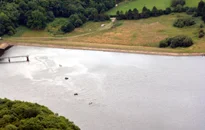 Bank Fishing Along The Dam