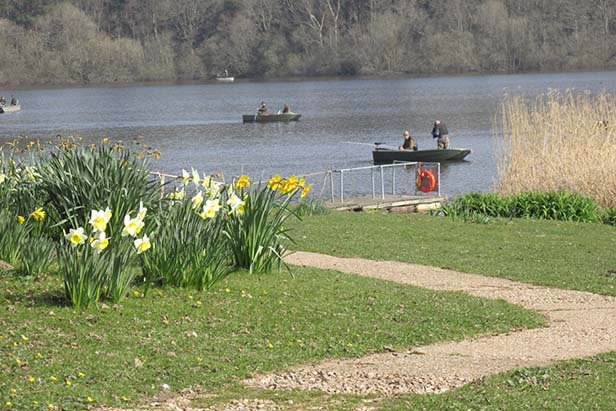 Lovely Views - image 2