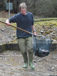 Steve - Fish Delivery Driver
