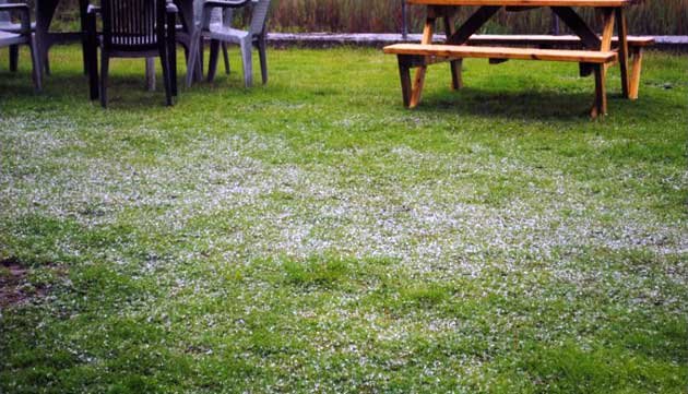 Hailstones