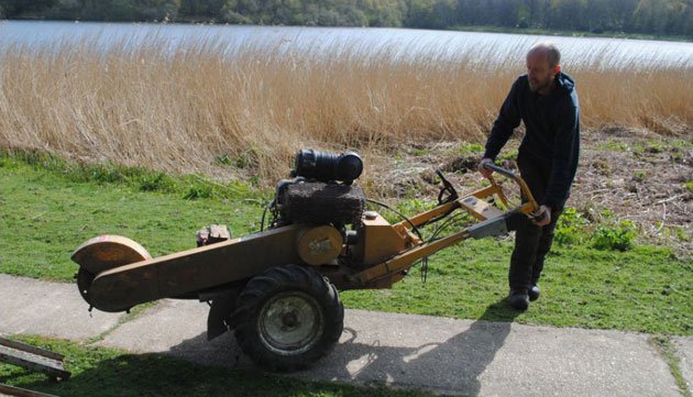 Stump Grinding