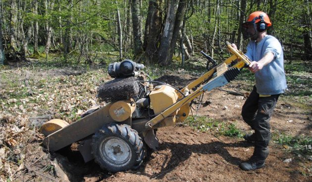 Stump Grinder