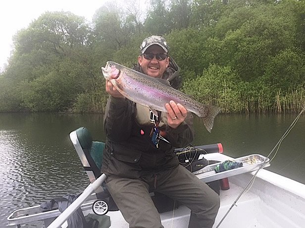 Visitor Trout