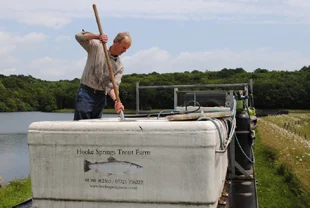 Fish Delivery - Photo 1