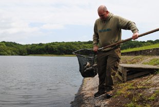 Fish Delivery - Photo 2