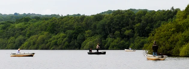Plenty of Boats Were Out at the Reservoir