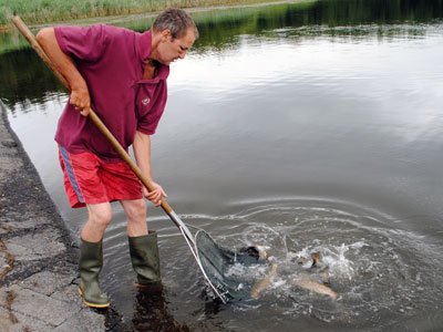 Another Hooke Springs delivery by Alan - Photo 2