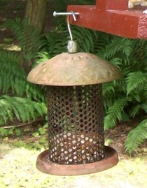 Bird Feeder