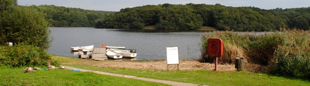 Reed Cutting In Preparation For Work Around The Jetty