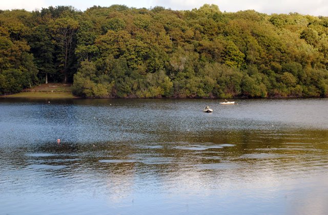 A Large Shoal of Fish Rising Last Monday