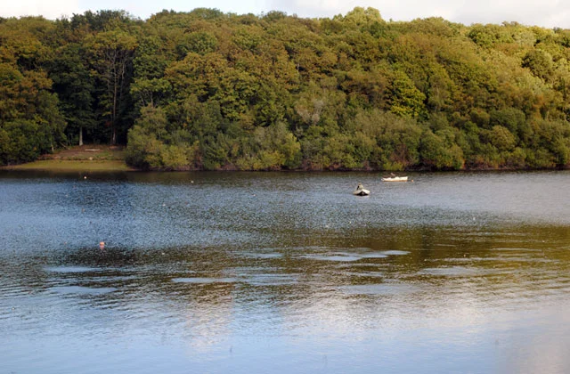 A Large Shoal of Fish Rising Last Monday