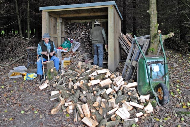 'Theres Something In The Wood Shed'