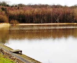 Winter Fishing