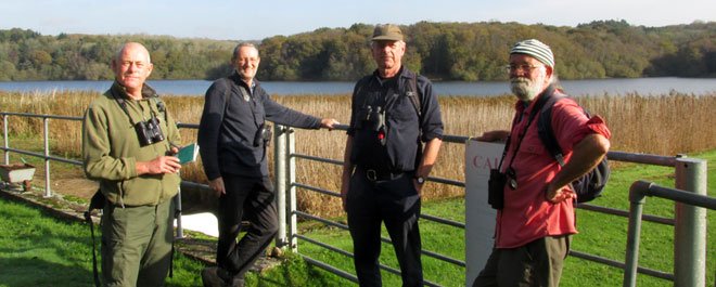 The Birders