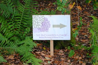 Flower Garden