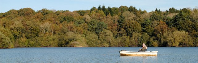 Autumn Colours - Photo 1