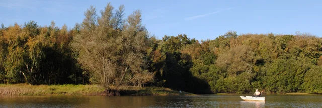 Autumn Colours - Photo 2