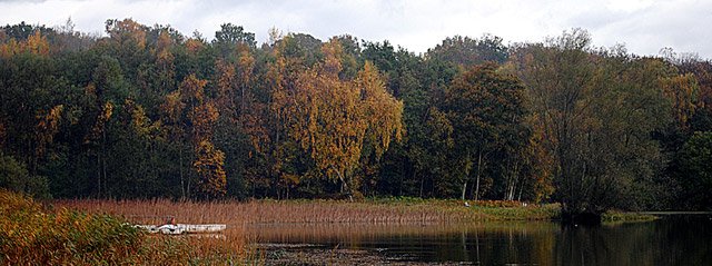 Winter at Powdermill Reservoir
