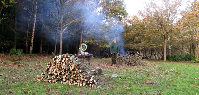 Getting Ready For Winter - Logging