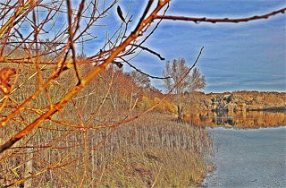 An Impressionists View - Photo 2