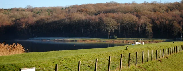 Winter Scenes at the Reservoir - Photo 2