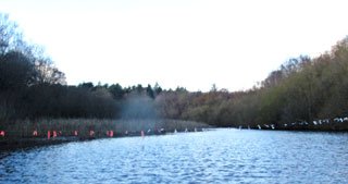 The Cormorant Problem