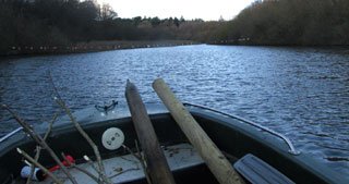 The Cormorant Problem