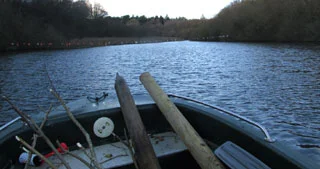 The Cormorant Problem