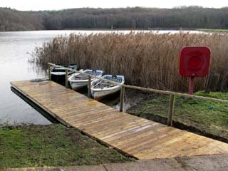 The Jetty