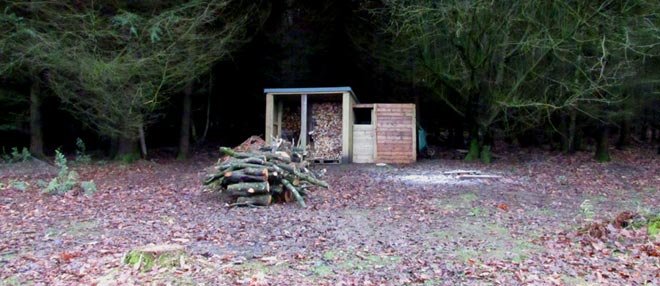 The Remaining Log Pile